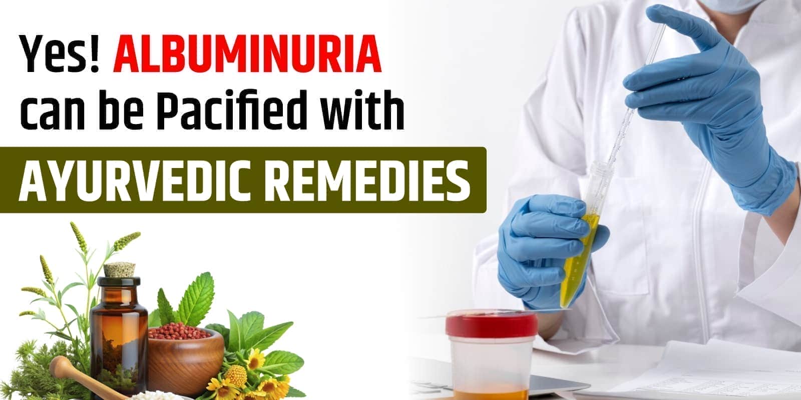 Yes! Albuminuria can be Pacified with Ayurvedic Remedies
